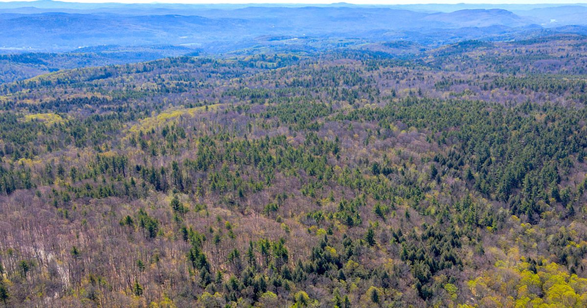 Hill Ridge Line OSI’s Support Permanently Protects One of the Last Remaining Windmill ...