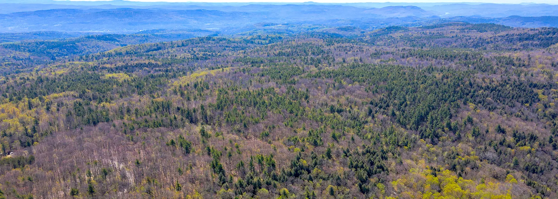 Hill Ridge Line OSI’s Support Permanently Protects One of the Last Remaining Windmill ...